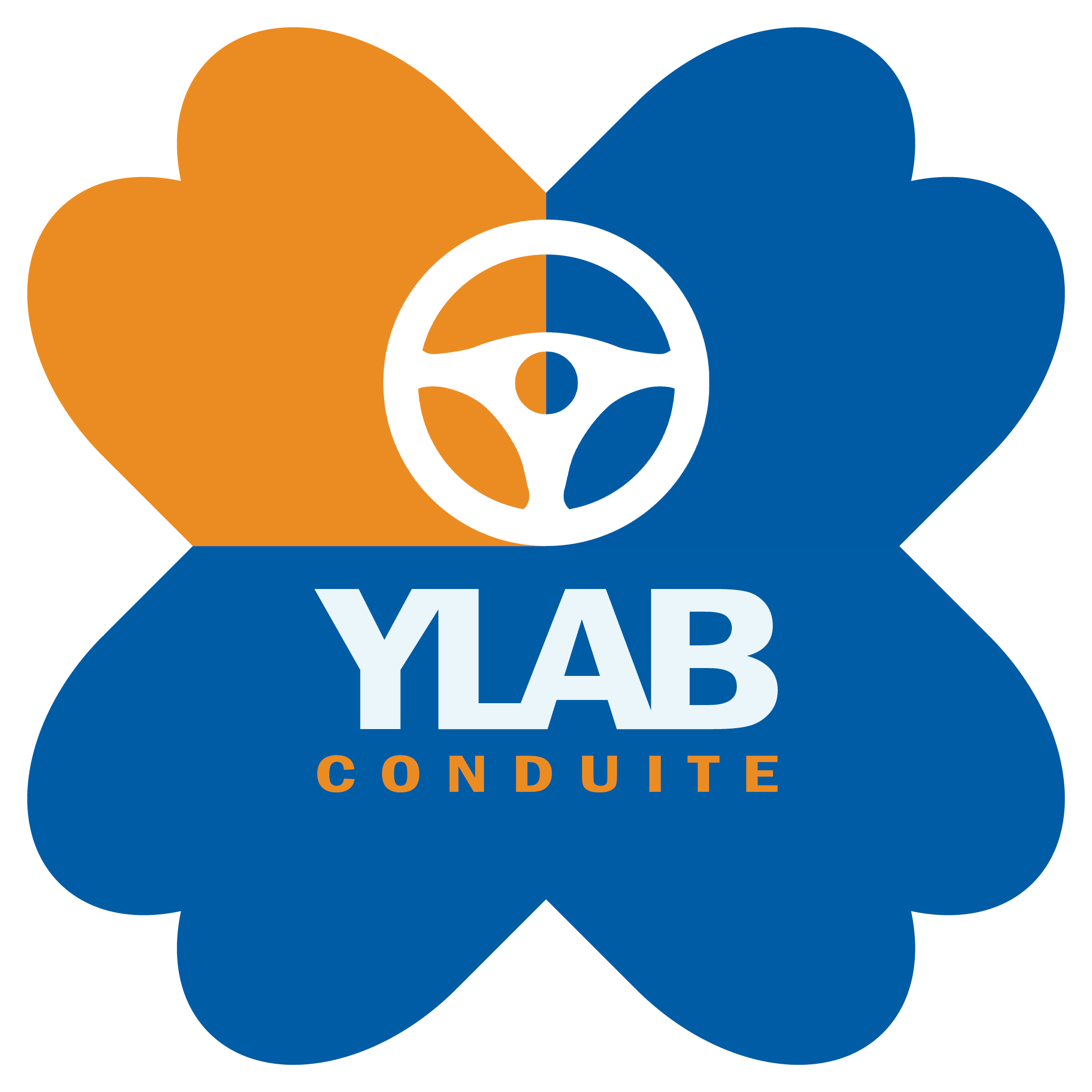 YLab Conduite
