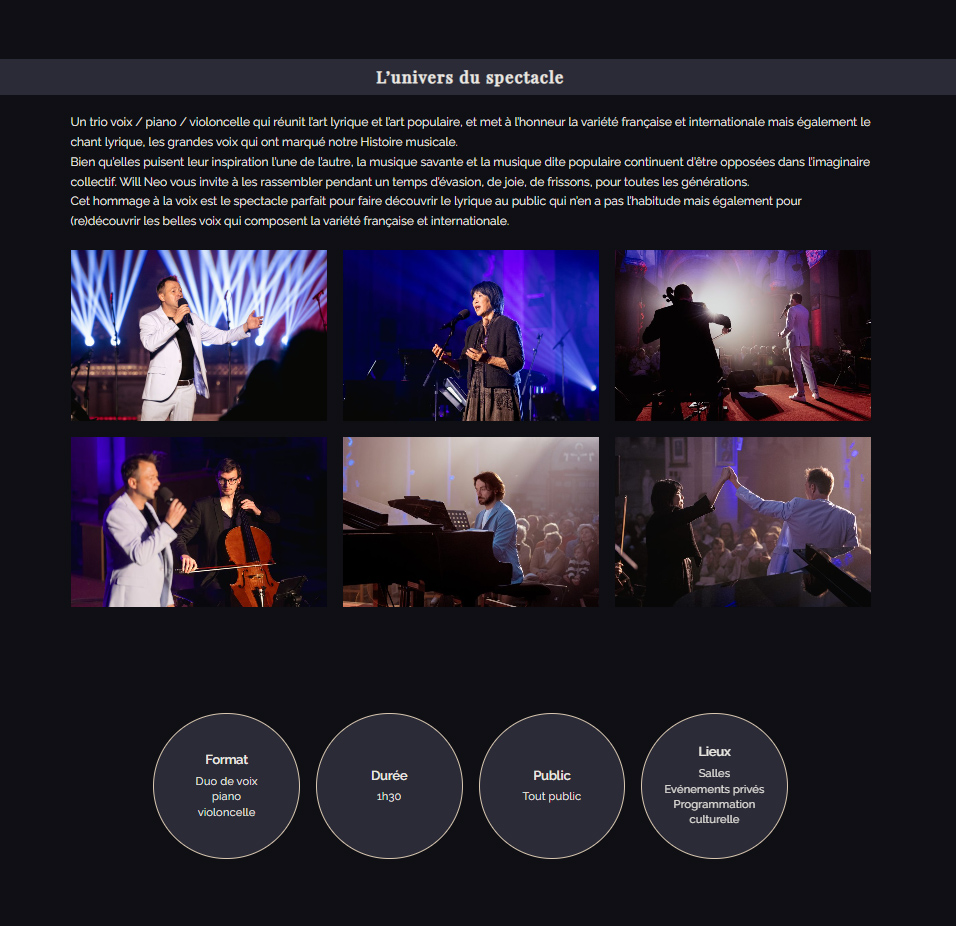 Aperçu site Dualité 2